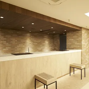 *** Hotel Sotetsu Fresa Ginza Sanchome Japon
